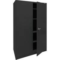 Armoire d'entreposage, Acier, 4 Tablettes, 78" h x 48" la x 24" P, Noir Toolneeds Inc.