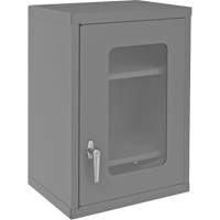Armoire de rangement murale avec portes transparentes, 26-15/16" h x 18-1/8" la x 13-11/16" p, 2 tablettes, Acier, Gris Toolneeds Inc.