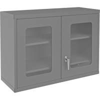 Armoire de rangement murale avec portes transparentes, 26-15/16" h x 35-7/8" la x 13-11/16" p, 2 tablettes, Acier, Gris Toolneeds Inc.