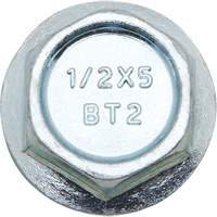 Wedge Bolts, Carbon Steel, 1/2" x 2" Toolneeds Inc.