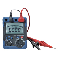 Insulation Resistance Tester, Digital Toolneeds Inc.