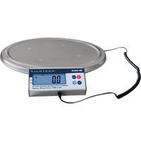Keg Weighing Scale, 200 kg Capacity Toolneeds Inc.