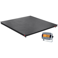 Balances de plancher Defender 3000, Capacit&eacute; de 2500 lb, 4' lo x 4' la Toolneeds Inc.