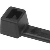 PA66 Cable Ties, 5-1/2" Long, 18 lbs. Tensile Strength, Black Toolneeds Inc.