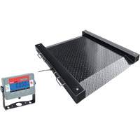 DEFENDER Floor Scale, 1000 lbs. Capacity, 30" L x 30" W Toolneeds Inc.