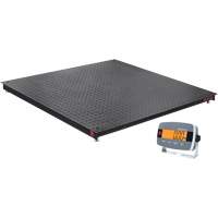 DEFENDER 3000 Floor Scale, 2500 lbs. Capacity, 48" W x 48" L Toolneeds Inc.