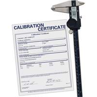 Digital Caliper with Traceable Certificate, 0.0005" (0.01 mm) Resolution, 0" - 12" (0 mm - 300 mm) Range Toolneeds Inc.