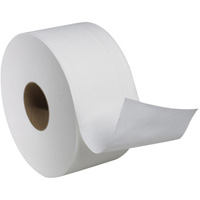 Rouleau de papier hygi&eacute;nique Advanced Soft Mini, Rouleau G&eacute;ant, 2 Pli, Longueur 751', Blanc Toolneeds Inc.