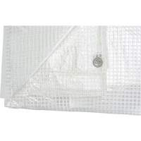 B&acirc;ches transparentes, 12' x 10' x 8 mils Toolneeds Inc.
