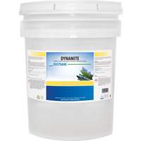 Dynamite Odourless Stripper & Degreaser, 20 L, Pail Toolneeds Inc.