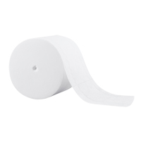 Papier hygi&eacute;nique Scott, Rouleau Sans rouleau central, 2 Pli, 1000 Feuilles/Rouleu, Longueur 333', Blanc Toolneeds Inc.