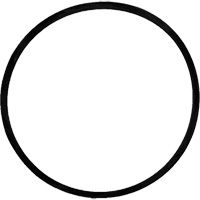 Replacement Brush Drive Belt Toolneeds Inc.