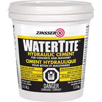 Watertite&reg; Hydraulic Cement Toolneeds Inc.
