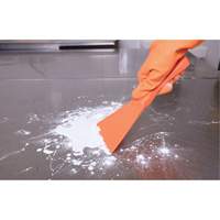 Racloir manuel grand format, Rose, 4" la x 10" lo Toolneeds Inc.