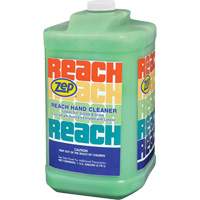 Reach Extra Heavy-Duty Hand Cleaner, Pumice, 3.78 L, Jug, Scented Toolneeds Inc.