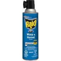 Raid&reg; Wasp & Hornet Bug Killer, 400 g, Solvent Base Toolneeds Inc.