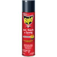 Raid&reg; Ant, Roach & Earwig Insect Killer, 350 g, Solvent Base Toolneeds Inc.