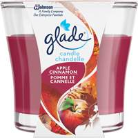 Chandelle en pot Glade, Pomme cannelle Toolneeds Inc.