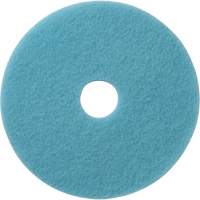 Luster Lite Floor Pads, 19", Burnishing, Light Blue Toolneeds Inc.