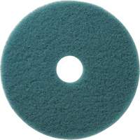 Aqua Floor Pads, 19", Burnishing, Aqua Toolneeds Inc.