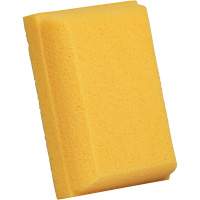 &eacute;ponge &agrave; coulis, Coulis, 5" la x 7" l Toolneeds Inc.