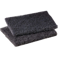 Scotch-Brite Griddle Polishing Pad, 4" L x 5" W Toolneeds Inc.