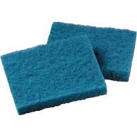 Non-Stick Cookware Cleaning Pad, Scrubbing, 5-1/4" W x 4" L Toolneeds Inc.