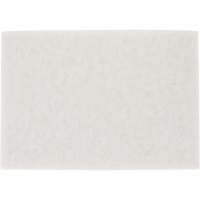 TopLine Speed Floor Pad, 14" x 20", Buffing/Cleaning/Polish, White Toolneeds Inc.