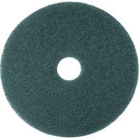 Hi-Performance Pad, 11", Cleaning/Scrubbing, Blue Toolneeds Inc.