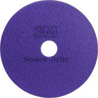 Tampon haute performance, 12", Nettoyage/Polissage, Mauve Toolneeds Inc.