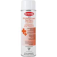 Disinfectant Surface Cleaner, 19 fl. oz., Aerosol Can Toolneeds Inc.