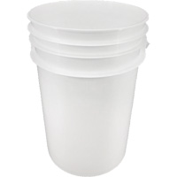 Heavy-Duty Pail, Plastic, 6 gal. Toolneeds Inc.