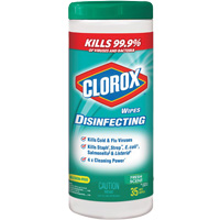 Disinfecting Wipes, 35 Count Toolneeds Inc.