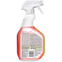 Disinfecting Bio Stain & Odour Remover, 946 ml, Trigger Bottle Toolneeds Inc.