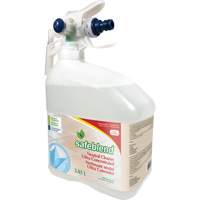 Solution neutralisante concentr&eacute;e, 4 L, Cruche Toolneeds Inc.