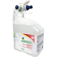 Concentrated Descaler, Cleaner & Dust Remover, Jug, 4 L Toolneeds Inc.