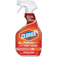 All-Purpose Disinfecting Cleaner Spray, 946 ml, Trigger Bottle Toolneeds Inc.