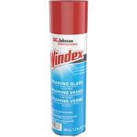 Windex&reg; Foaming Glass Cleaner, 560 g, Aerosol Can Toolneeds Inc.