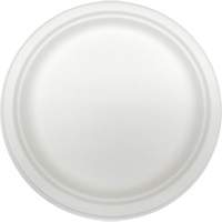 Plaques jetables en fibre moul&eacute;e Toolneeds Inc.