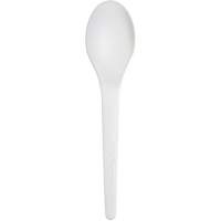 Cuill&egrave;res renouvelables et compostables Plantware Toolneeds Inc.
