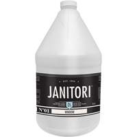 Janitori 01 Window Cleaner, 4 L, Jug Toolneeds Inc.