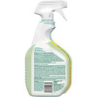 CloroxPro Clorox EcoClean Disinfecting Cleaner, 946 ml, Trigger Bottle Toolneeds Inc.