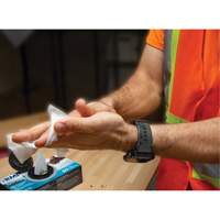 Individually Wrapped Cleaning Wipes, 12 Wipes, 8" x 9-1/2" Toolneeds Inc.