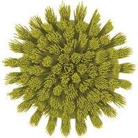 HyDrive Round Drill Brush, Extra Stiff Bristles, 3-1/10" Long, Yellow Toolneeds Inc.