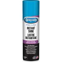 Brillant instantan&eacute; Pro Line pour surfaces en plastique, 11 oz, Canette a&eacute;rosol Toolneeds Inc.