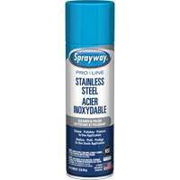 Nettoyant & polis pour acier inoxydable Pro Line, 15 oz, Canette a&eacute;rosol Toolneeds Inc.