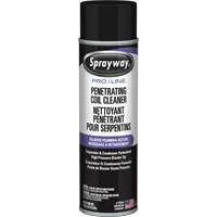 Nettoyant p&eacute;n&eacute;trant pour bobines Pro Line &agrave; action moussante diff&eacute;r&eacute;e, 19 oz., Canette a&eacute;rosol Toolneeds Inc.