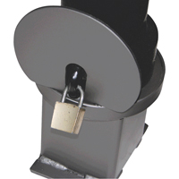 Removable Ornamental Bollards, Steel, 40" H x 4-1/2" W, Black Toolneeds Inc.