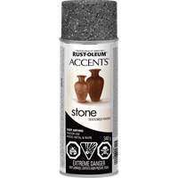 Accents&reg; Stone Creations Spray Paint, Aerosol Can, Grey Stone Toolneeds Inc.