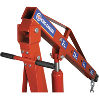 Grues d'atelier escamotables de 2 tonnes, Capacit&eacute; 4000 lb (2 tonnes) Toolneeds Inc.